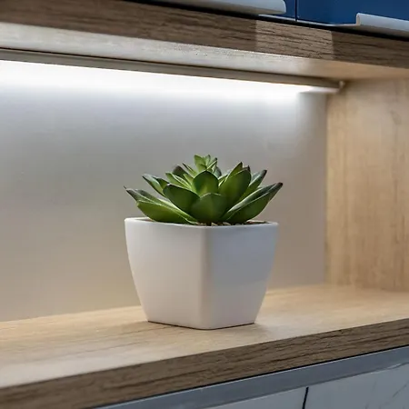 Near Bacvice Daire *